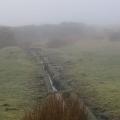 East Dartmoor