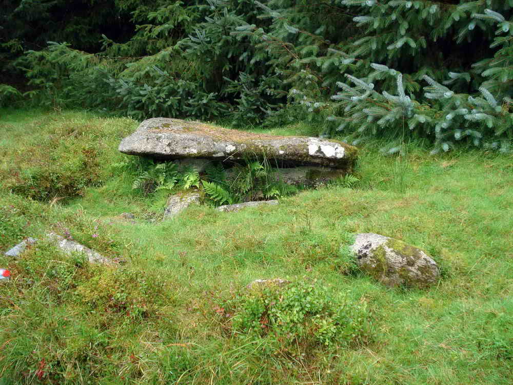 The cairn and cist at SX 6408 7647