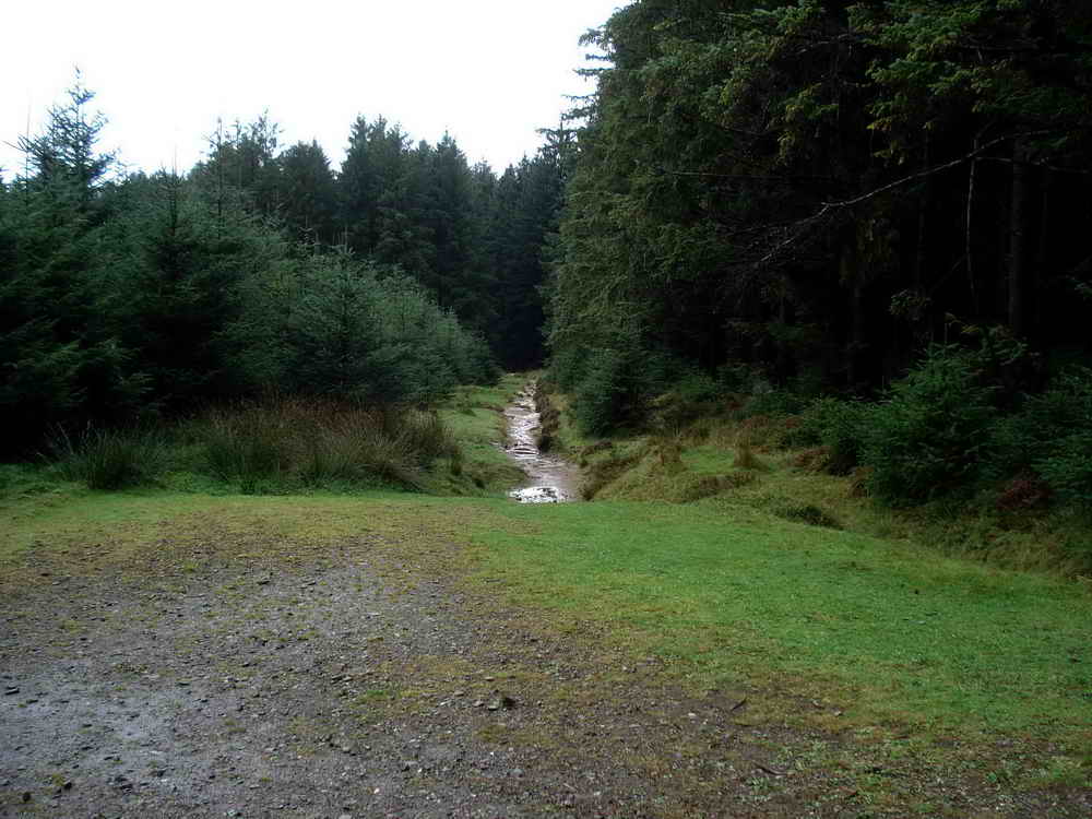 The Lych Way (Looking West)