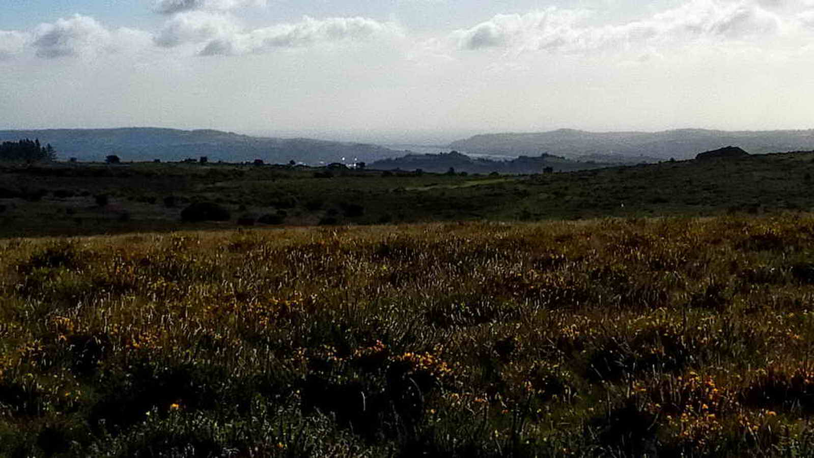 View towards Teignmouth to the South, 12.5 miles distant