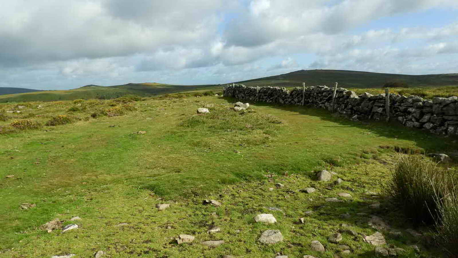 Remains of two cairns near the newtake wall?