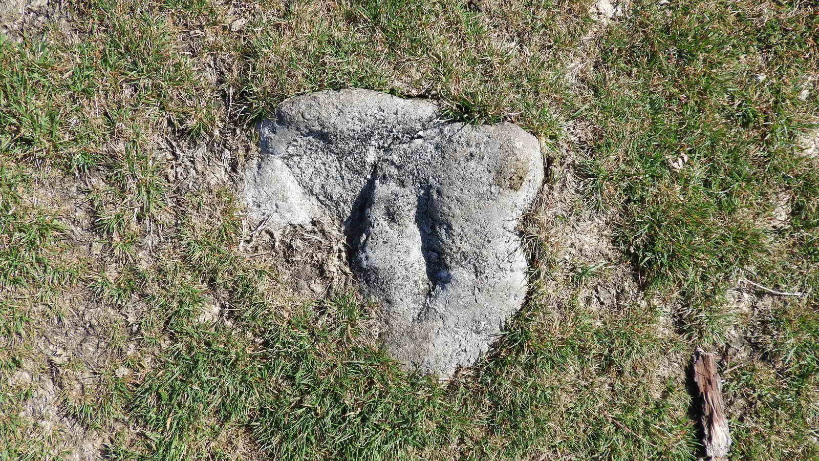 Hob’s Mark, aka the Devil’s Hoofprint, at SX 73580 73526