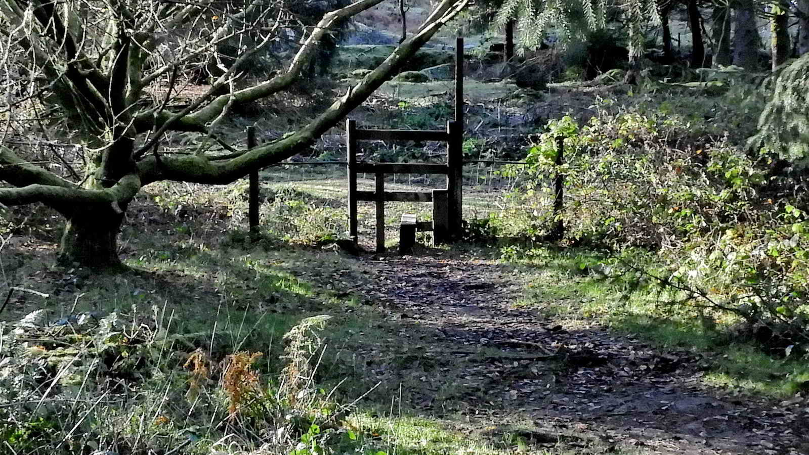 The far stile