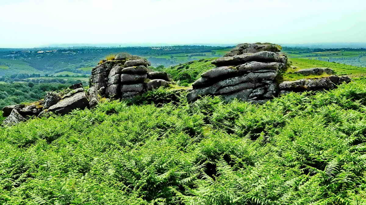 Cadworthy Tor, SX 54182 64160, elevation 238 metres (780 feet)