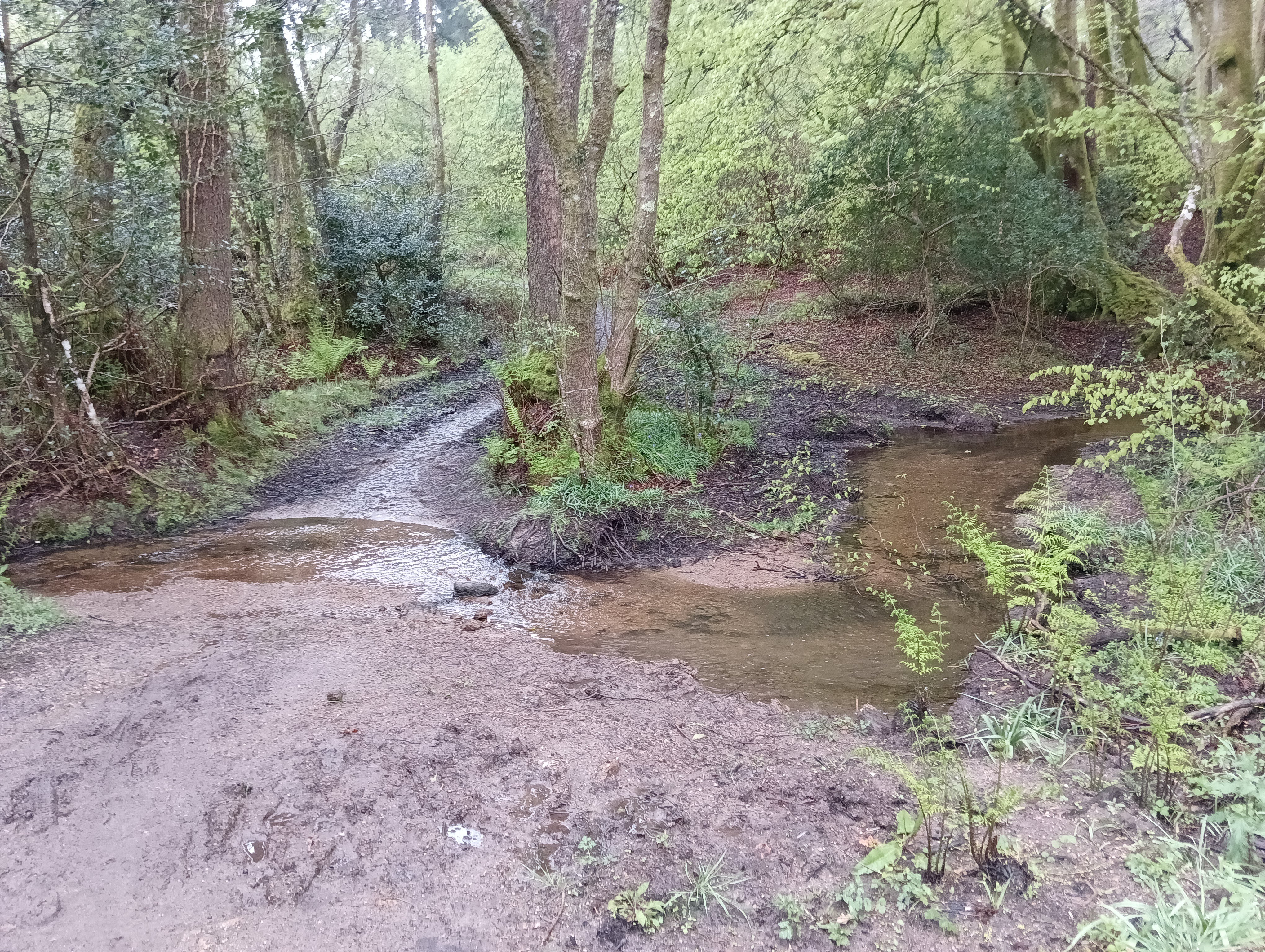 Looking back at the ford - the well is just beyond view