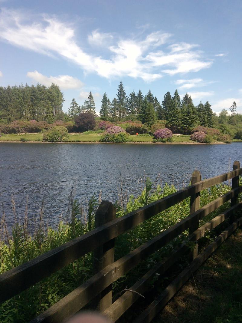 Featured image of post Clampitts Walk