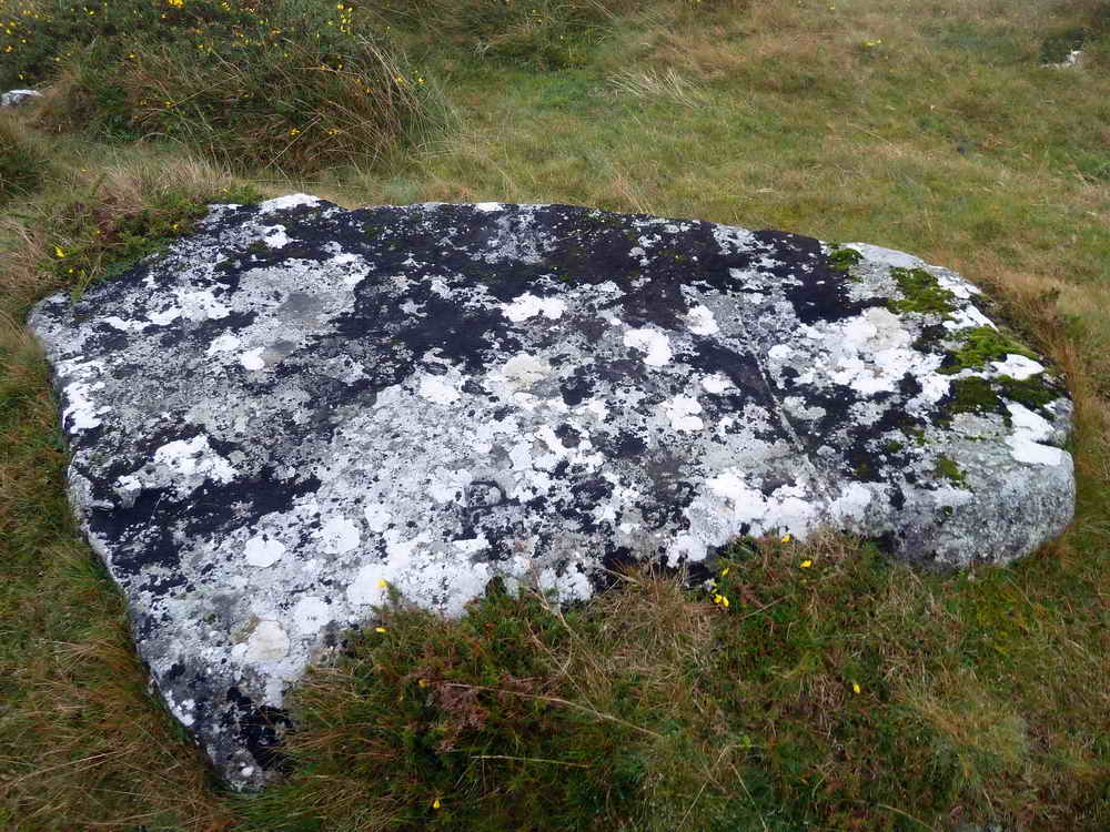 PW stone, at SX 53453 75952 ….. this is the stone described by Dave Brewer(2002) Dartmoor Boundary Markers, Halsgrove, pp. 158 thus, after describing the stones above: “The line then bends north-easwards to a Boundary Rock near Beckamoor Head at SX 5345 7595 called Flat Rock or Black Rock bearing the letters ‘P’ and ‘W’ on the appropriate sides of its flat top” - P signifying Peter Tavy and W signifying Whitchurch parishes. The ‘W’ can be seen (upside-down) on the far edge of the stone, opposite the ‘P’