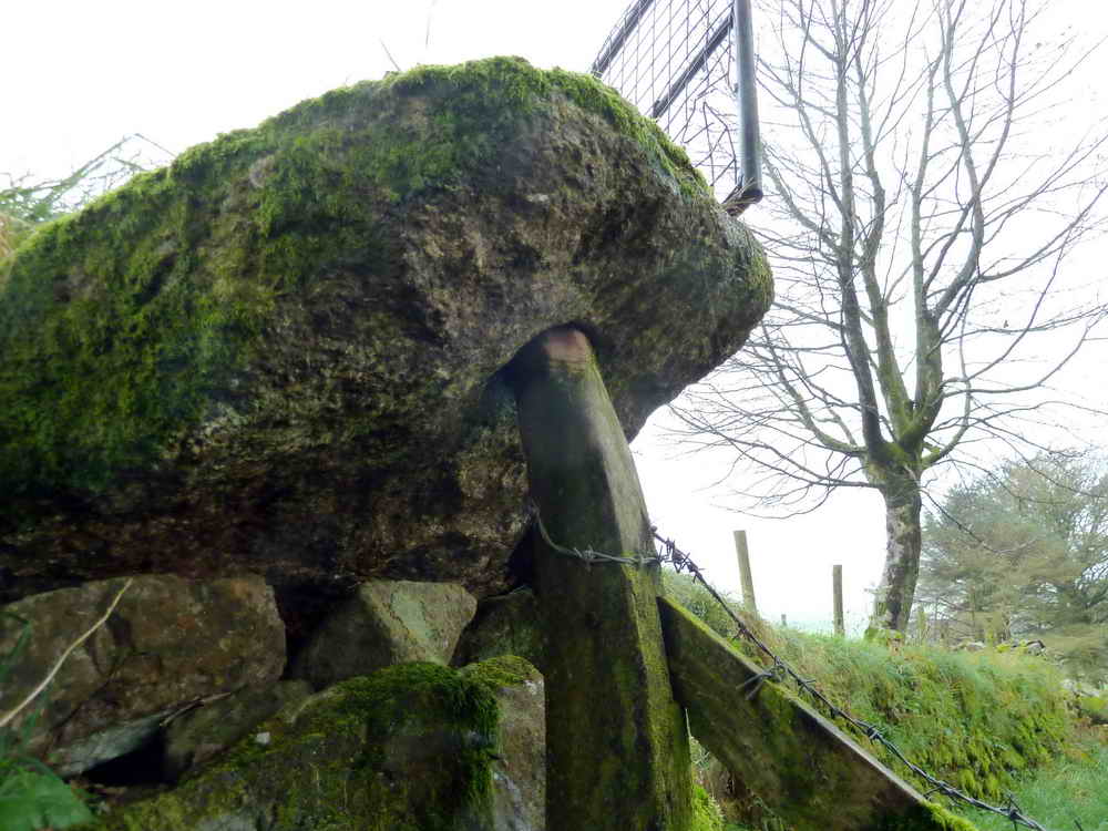 Gate hanger stone at SX 52171 76240, the only working example on the moor