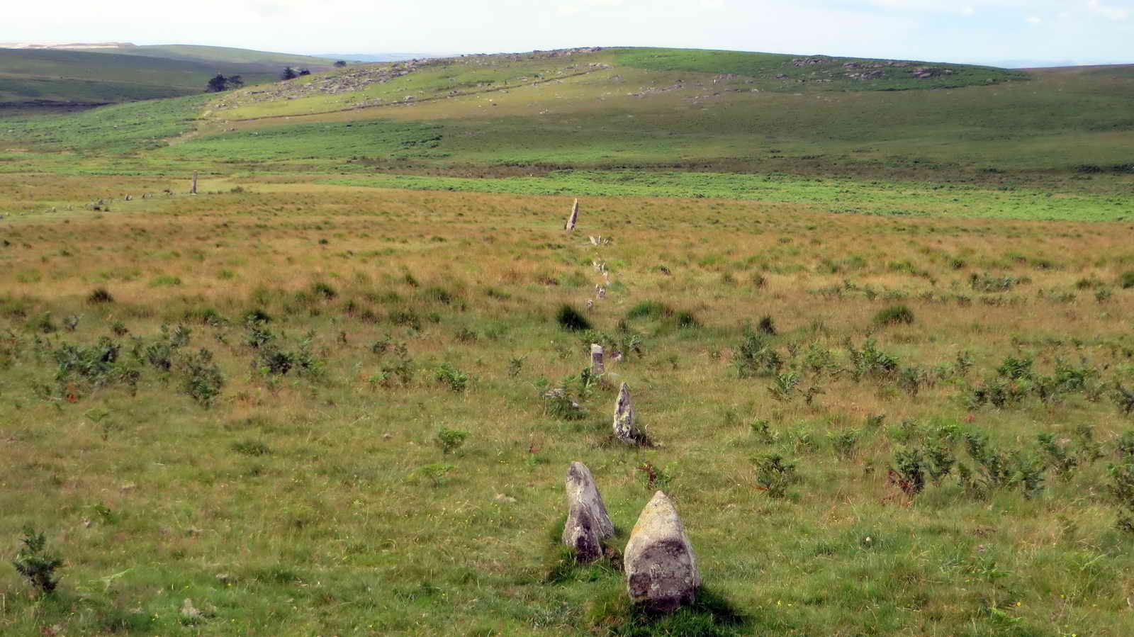 Looking down along row 3