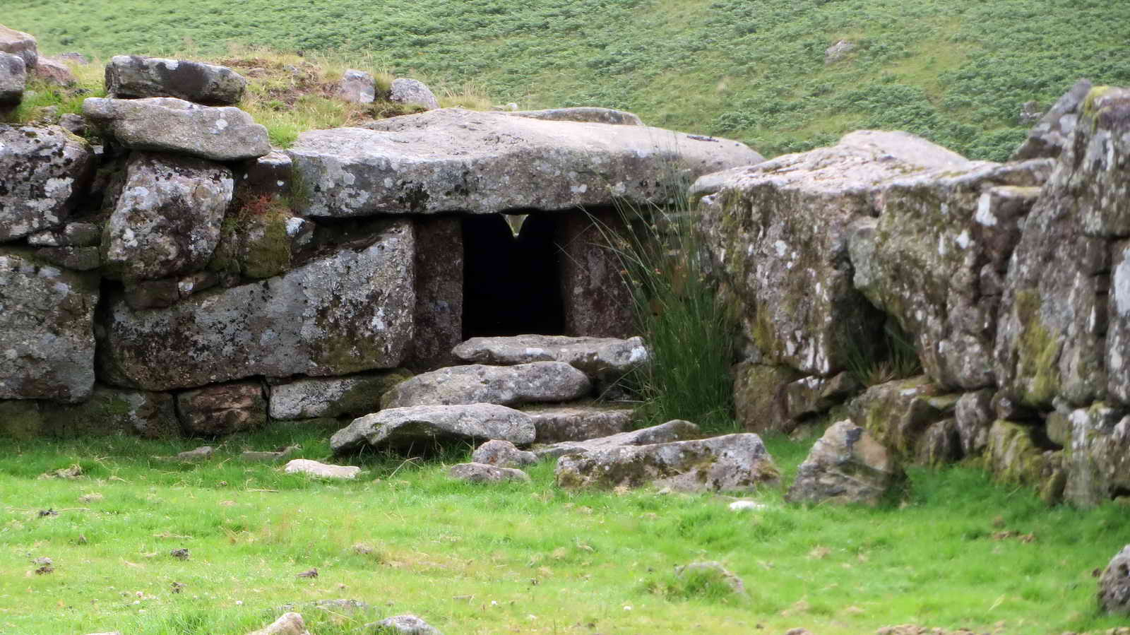 South-East corner kennel