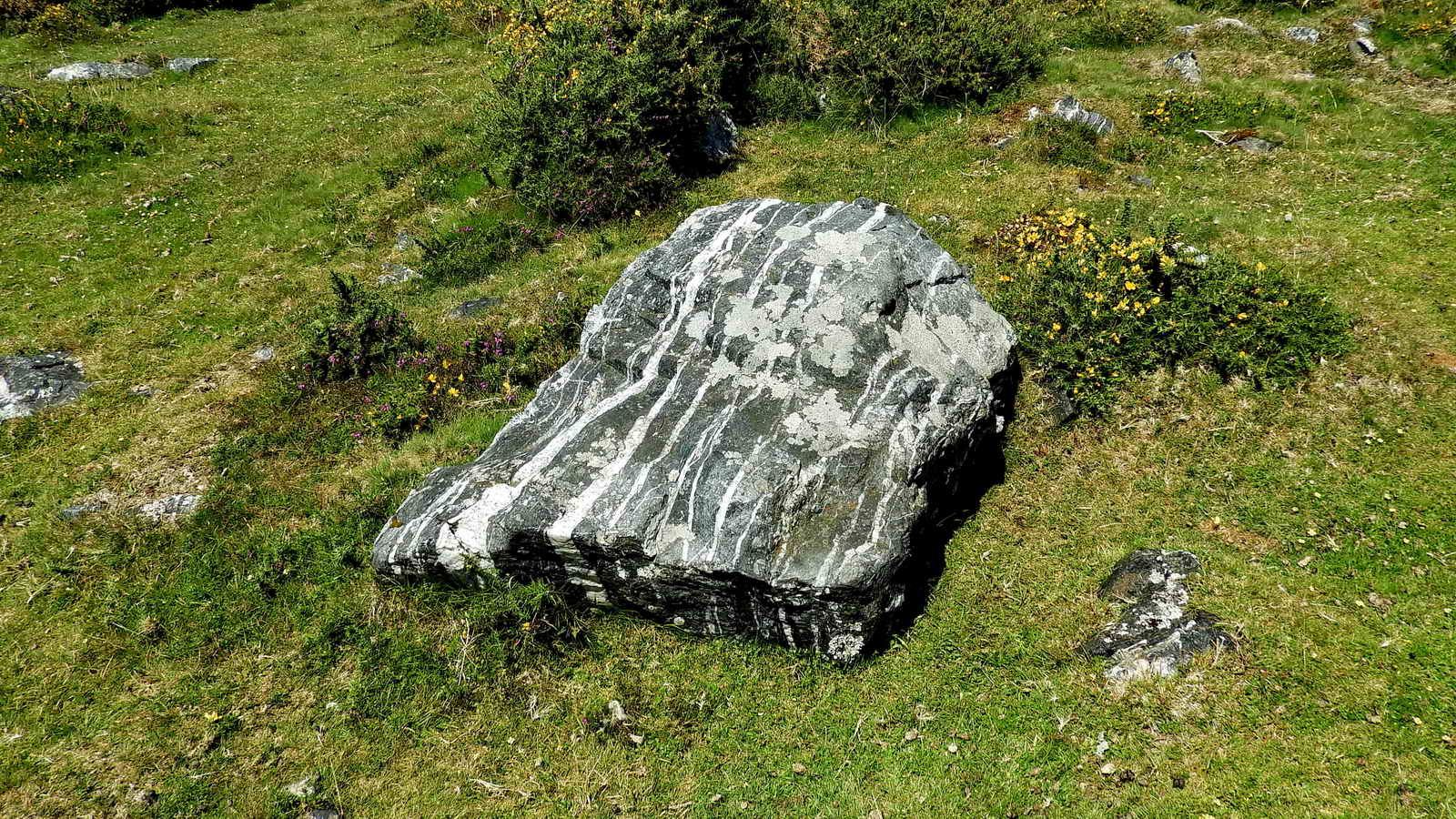 “Black and white” metamorphic mudstone and sandstone