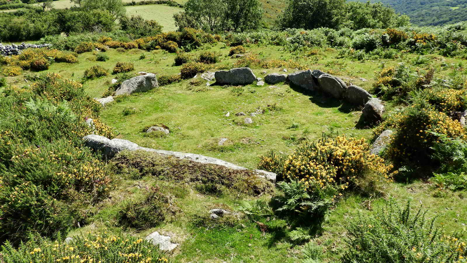 Bronze Age round house (or hut circle) at SX 69521 72531