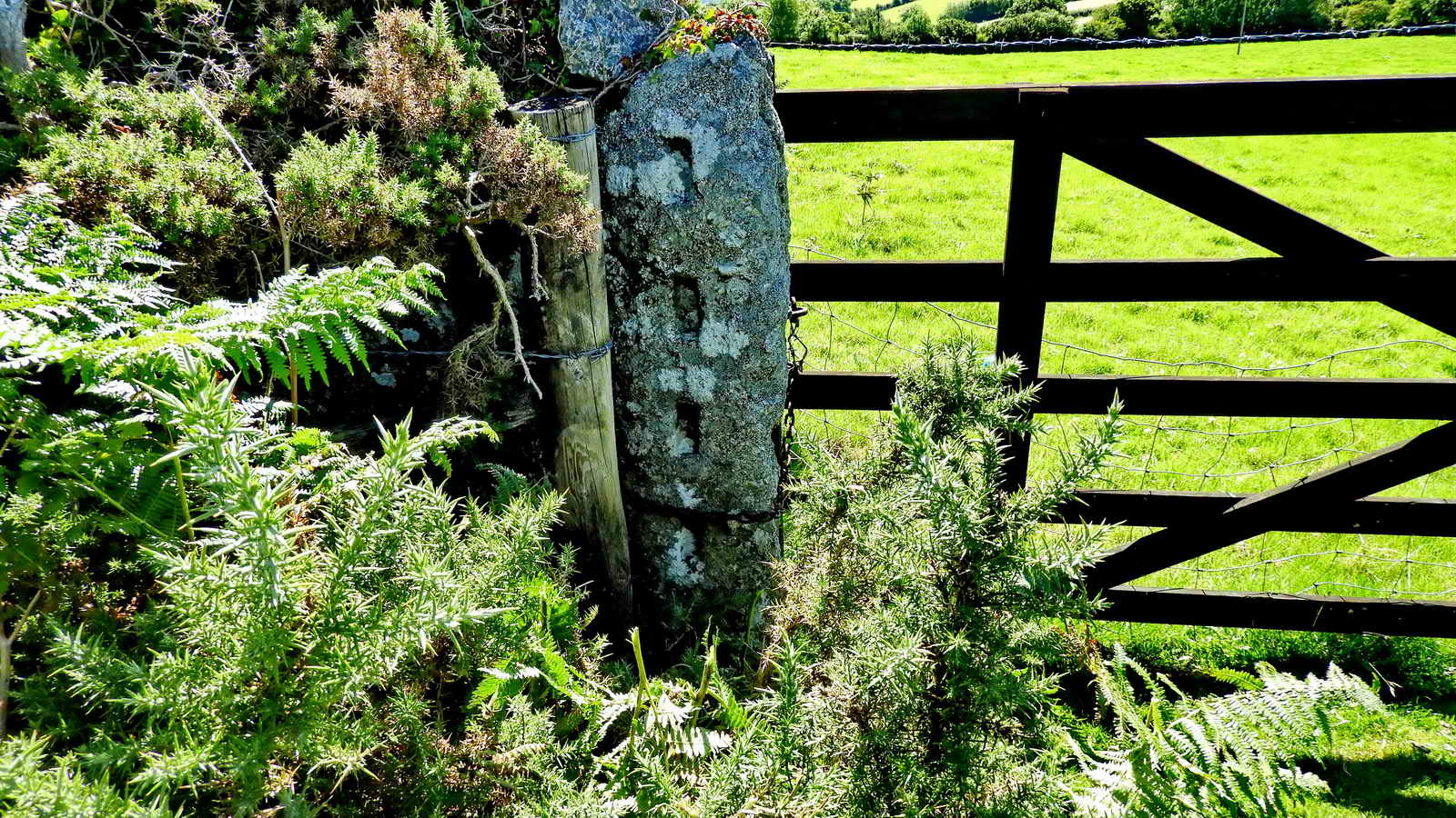 A slotted gatepost. Note this has the slots facing away from the gateway, so has been relocated from elsewhere