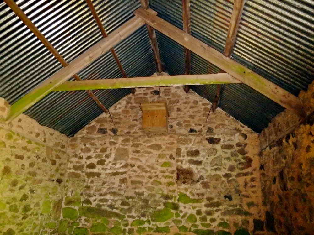 Owl box inside the barn