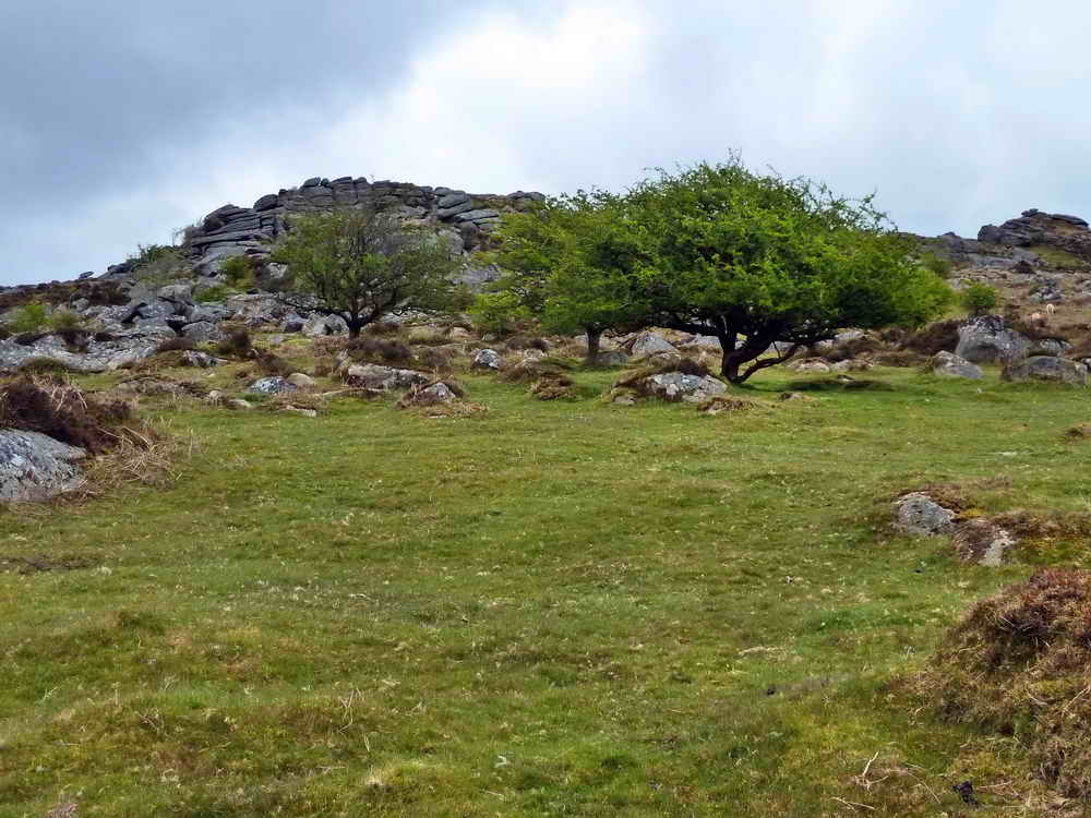 Looking up to Emsworthy Rocks