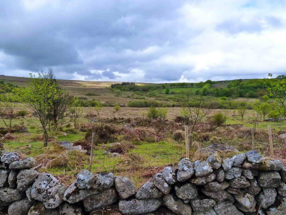 Across Emsworthy Mire