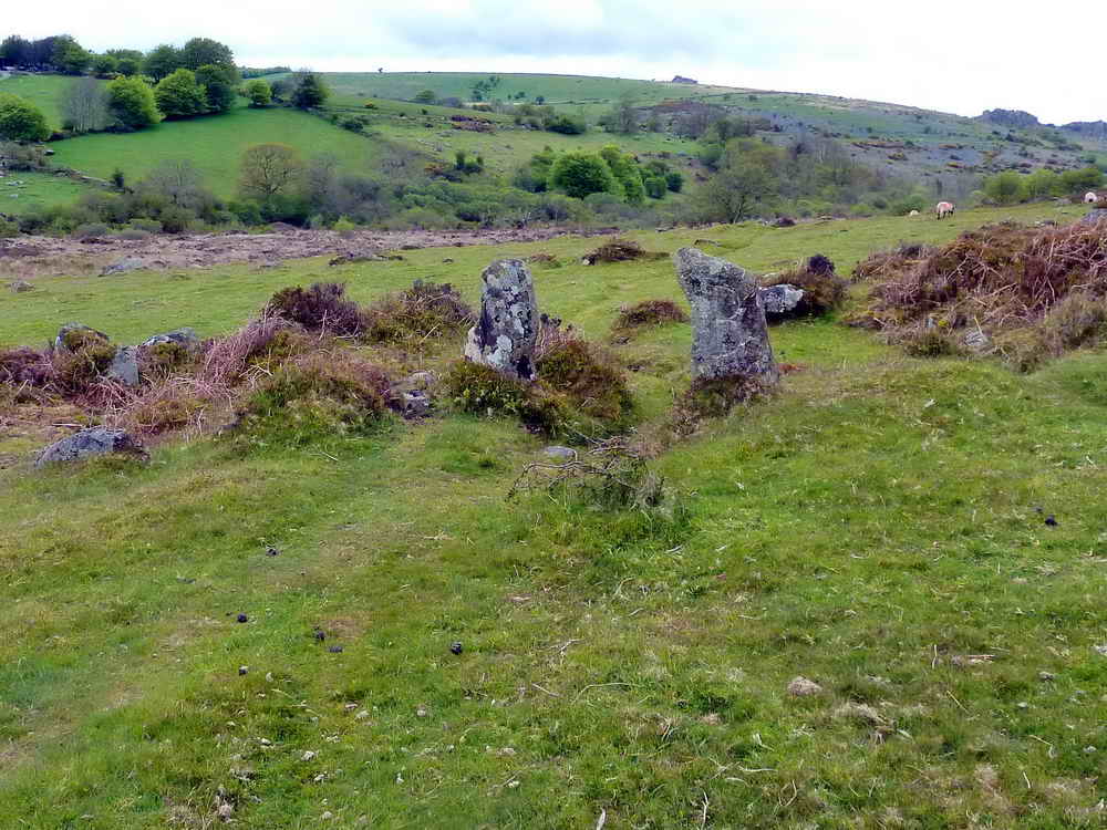 Approaching the entrance to a small Bronze Age enclosure at SX 74708 77038