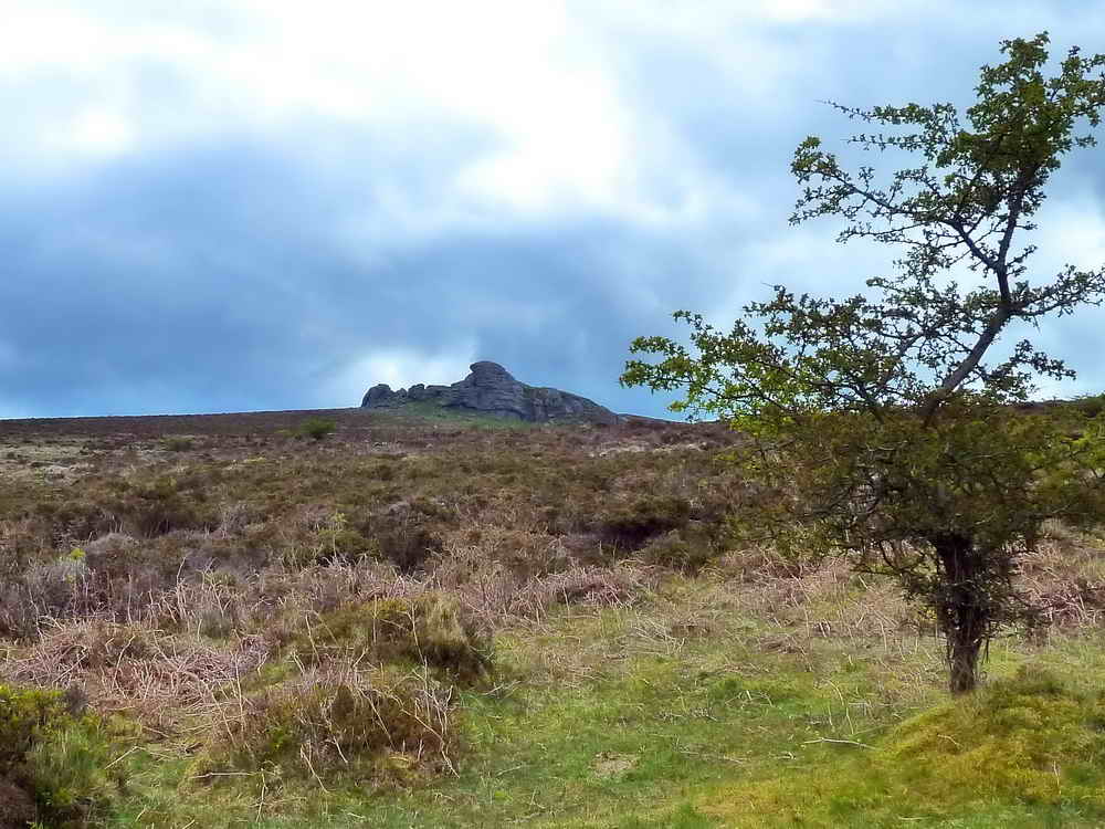 View ahead of Haytor