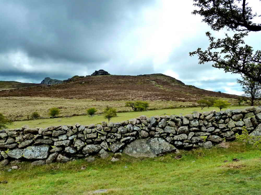 Looking back over the walled fields to Saddle Tor, with Haytor behind and to its left
