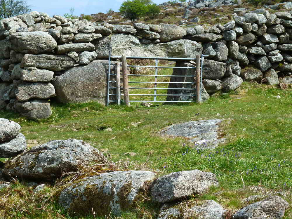 Blocked Sheep Creep