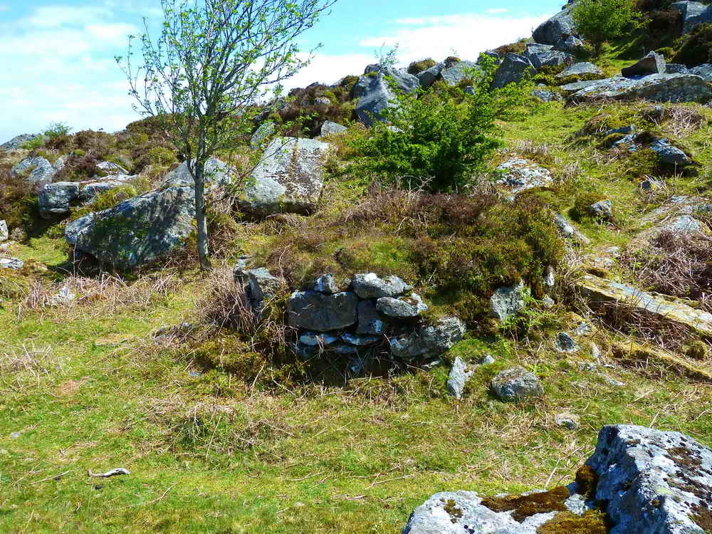 A circular platform  at SX 74841 76988. This is the lower of two branches of the granite tramway that runs into the rock-field