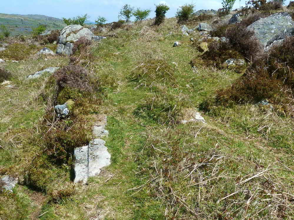 Both sides of the granite rails emerge through the turf. The gauge appears to be 4'3"