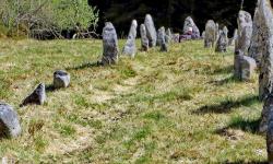 Featured image of post Fernworthy Assycombe Double Stone row