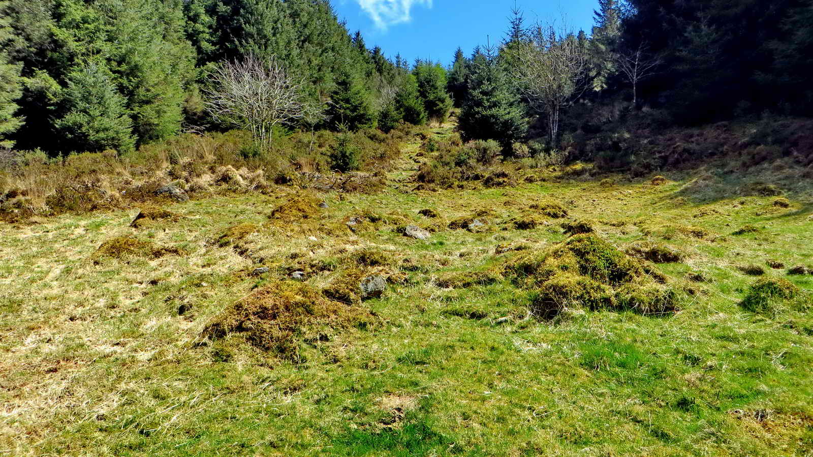 Hut circle about 100 metres below the end of the stone row, at SX 65930 82458