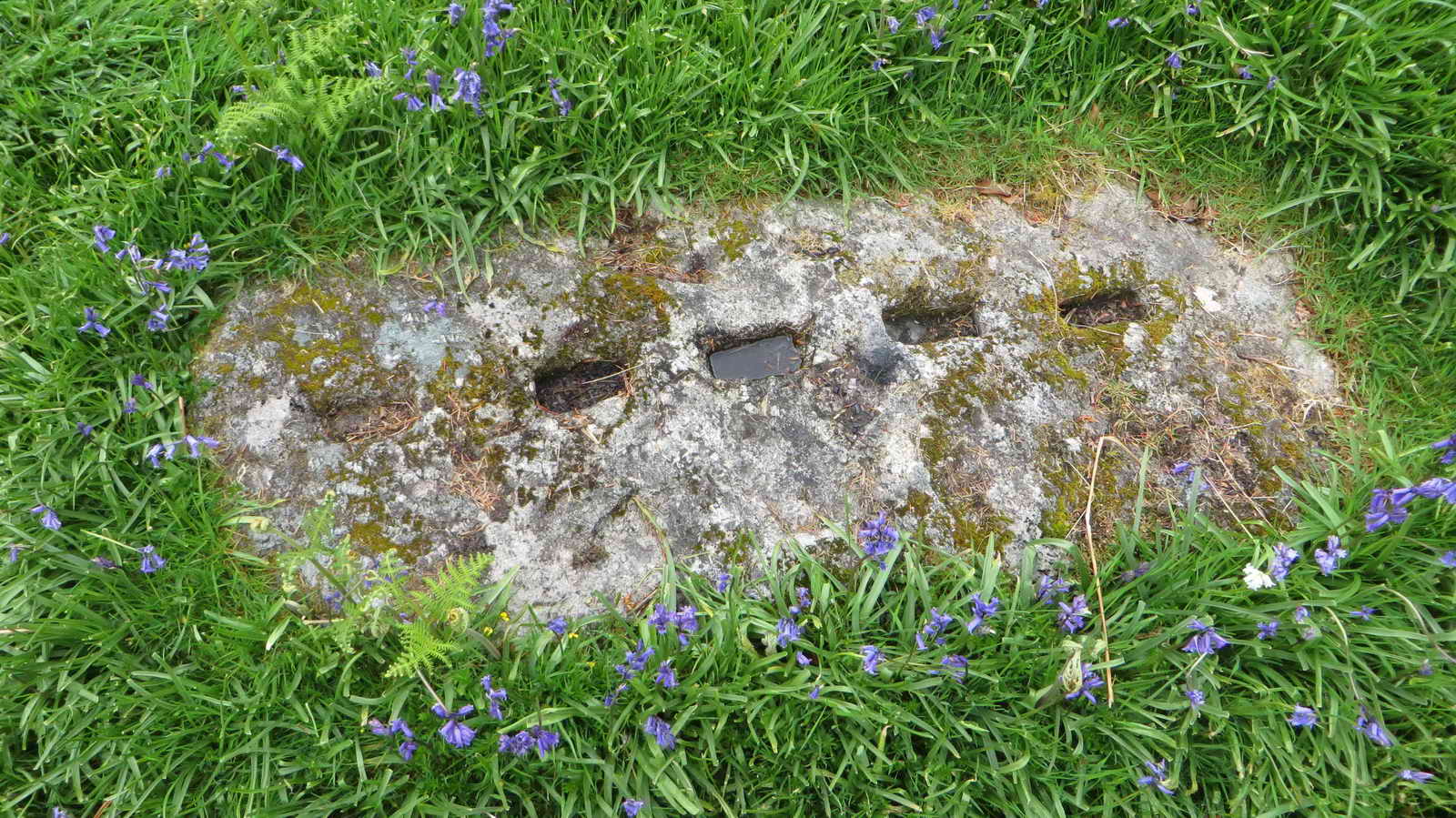 Slotted Gatepost in the ground within the circle