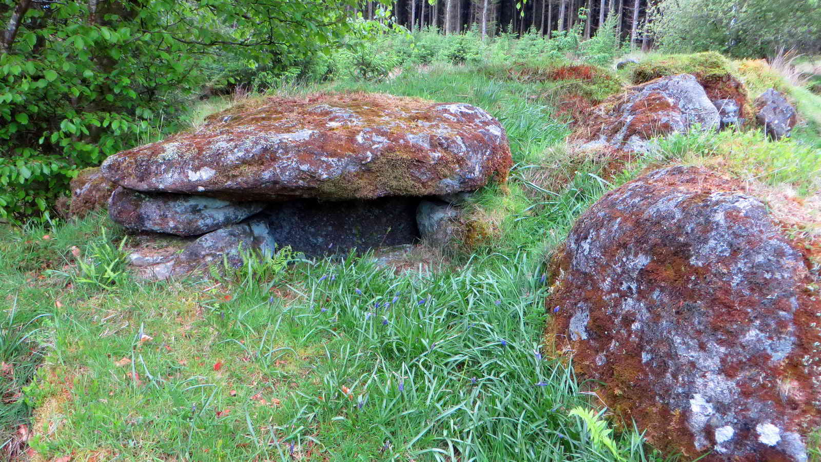 Feature built into the hut wall. Possibly storage or a meat safe