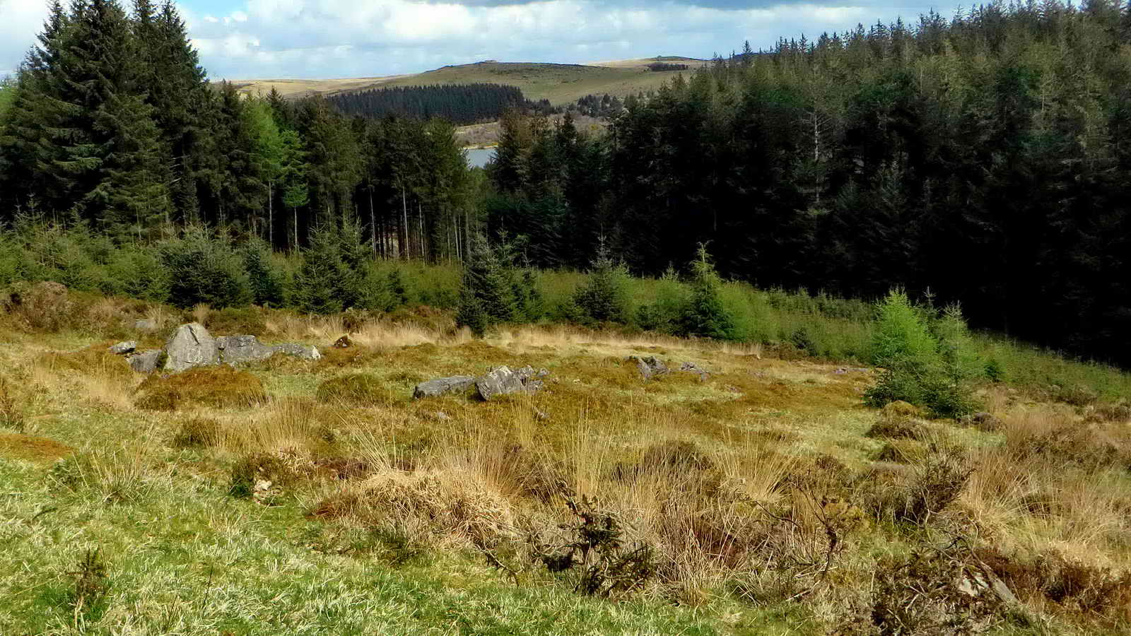 Halfway up the steep track. Another hut circle, one of three here