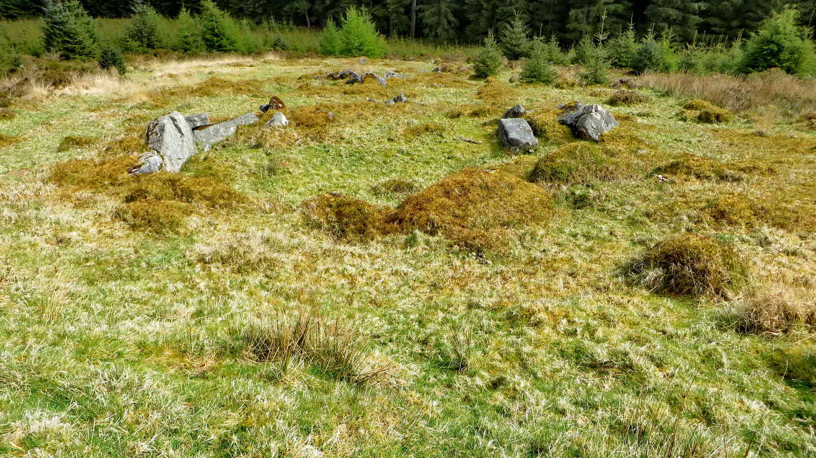 Another circle - also part of Lowton Brook West