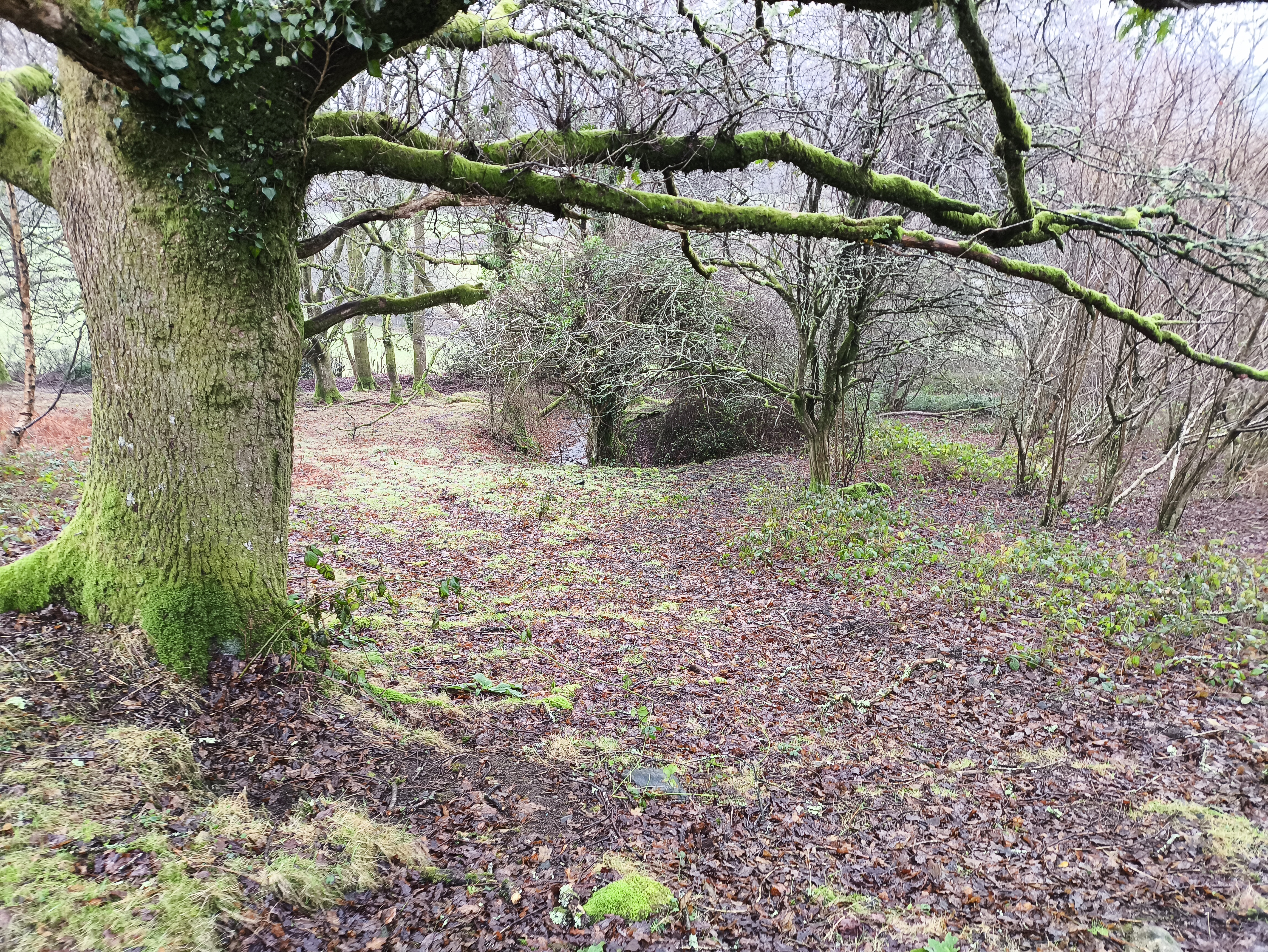 The right you may spot this sudden ditch. This is actually the outfall of a small adit which runs back under the tramway and has been partially walled up