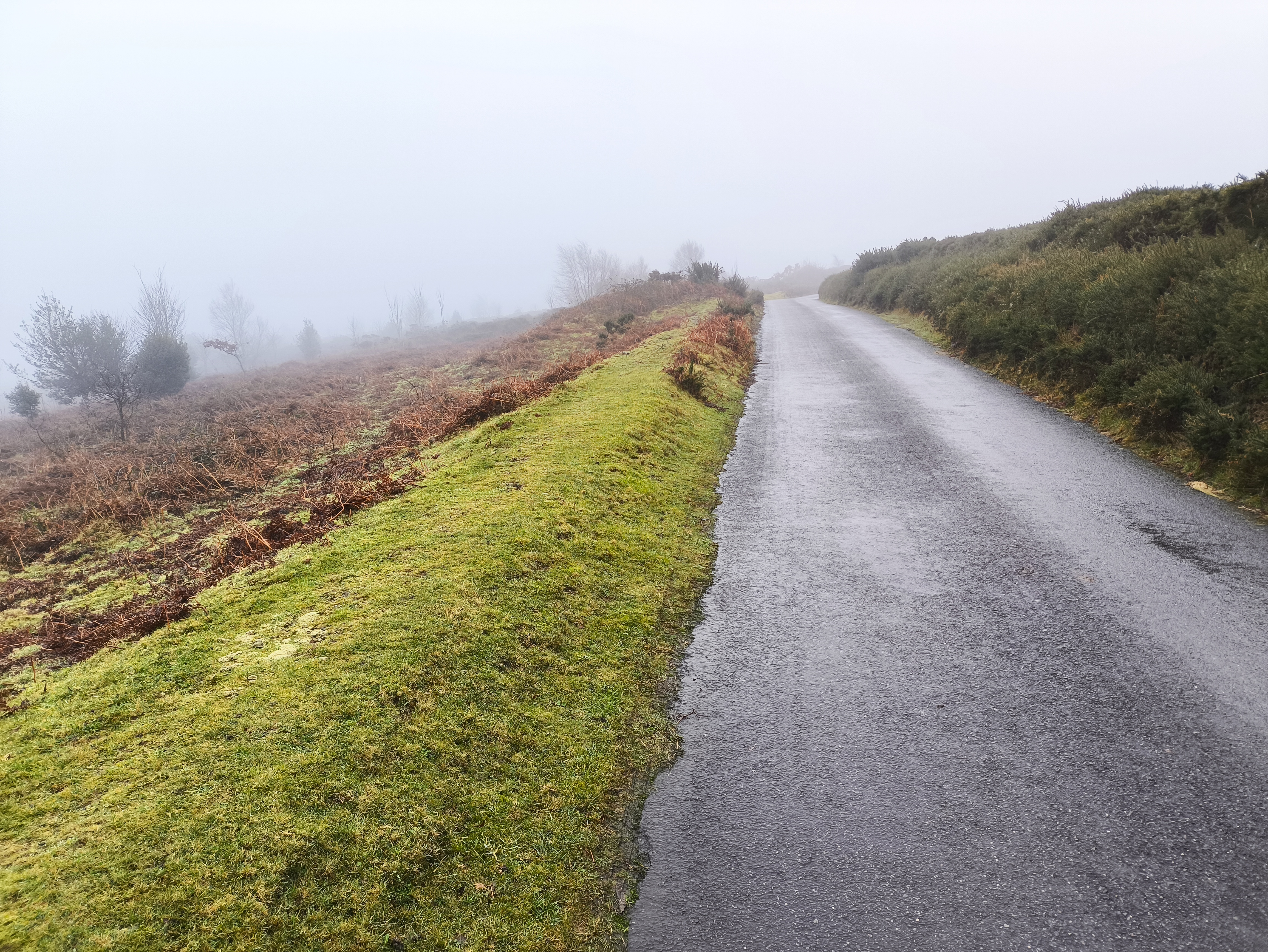 The road back to the parking