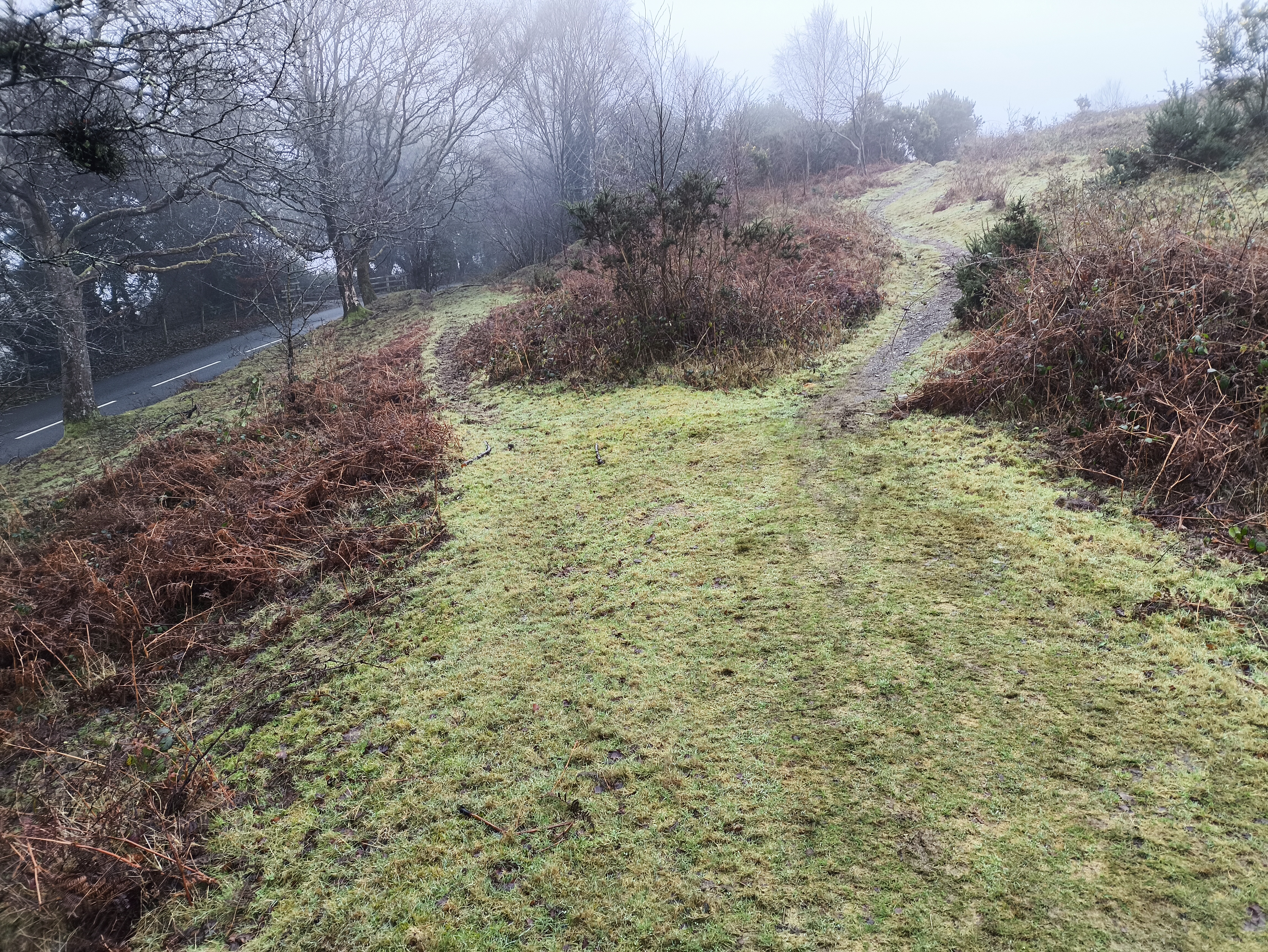 Looking back at the tramway, showing how close it is to the road