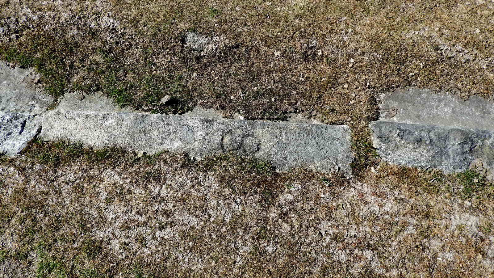 An inscribed"S" on a rail, another mason’s mark, not far from Holwell Junction, SX 76248 77713