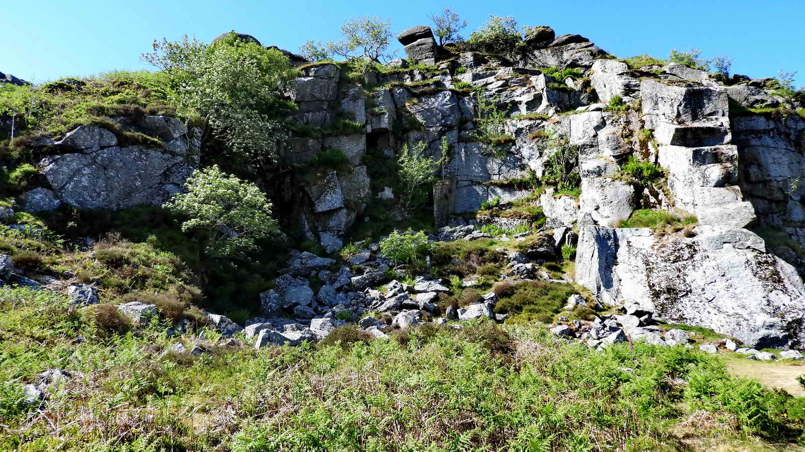 Part of Holwell Quarry, SX 75165 77746