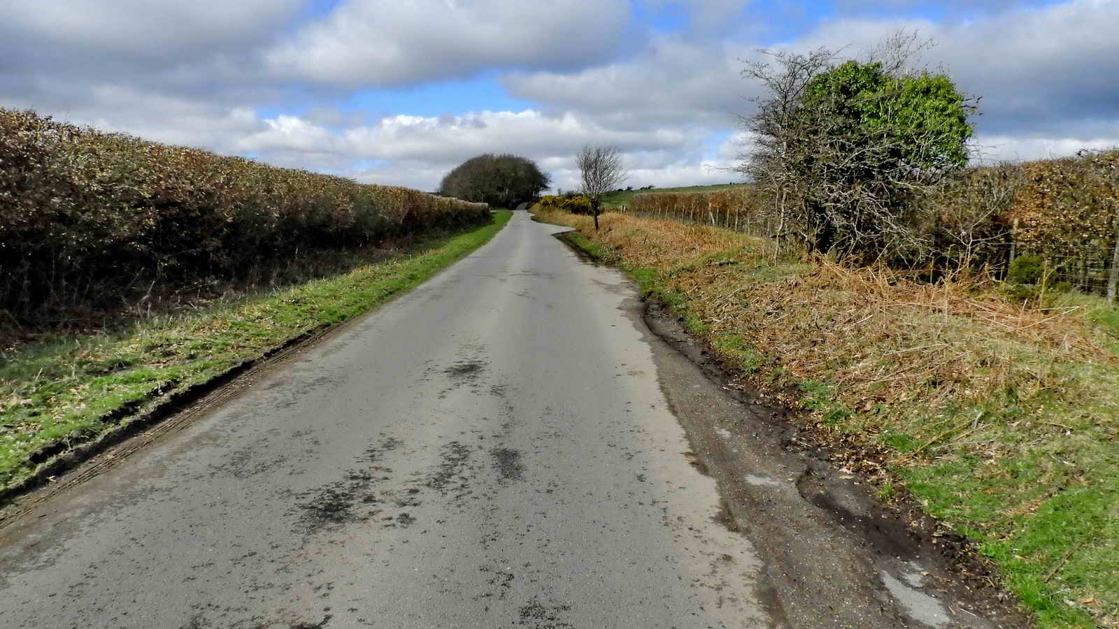 The road to Kitty Jay’s Grave