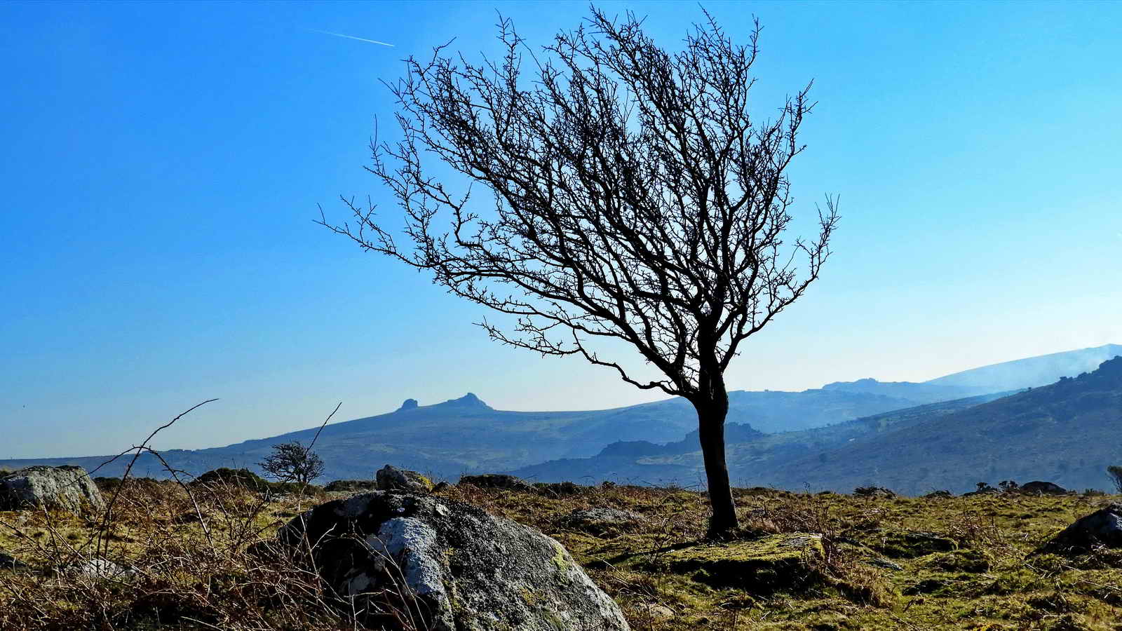 Haytor Rocks on the horizon, SX 7573 7705. The highest point is 457 metres (1499 feet) which is on Low Man, the western pile, on the right in this photograph (not visible from the road)