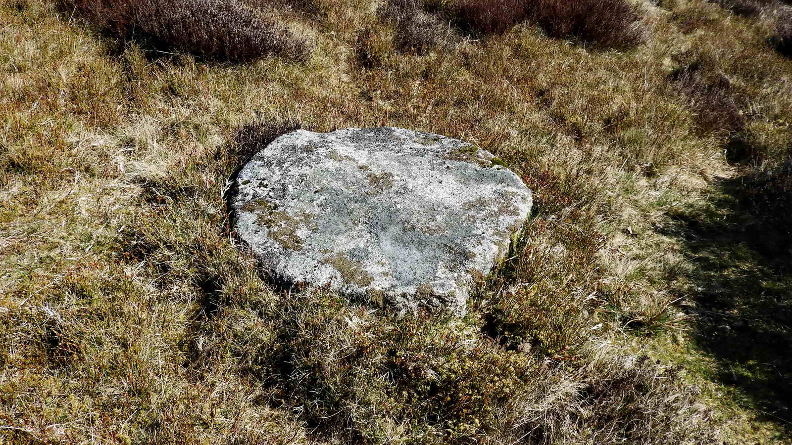 The millstone near the centre of the King’s Oven pound.  SX 67472 81297
