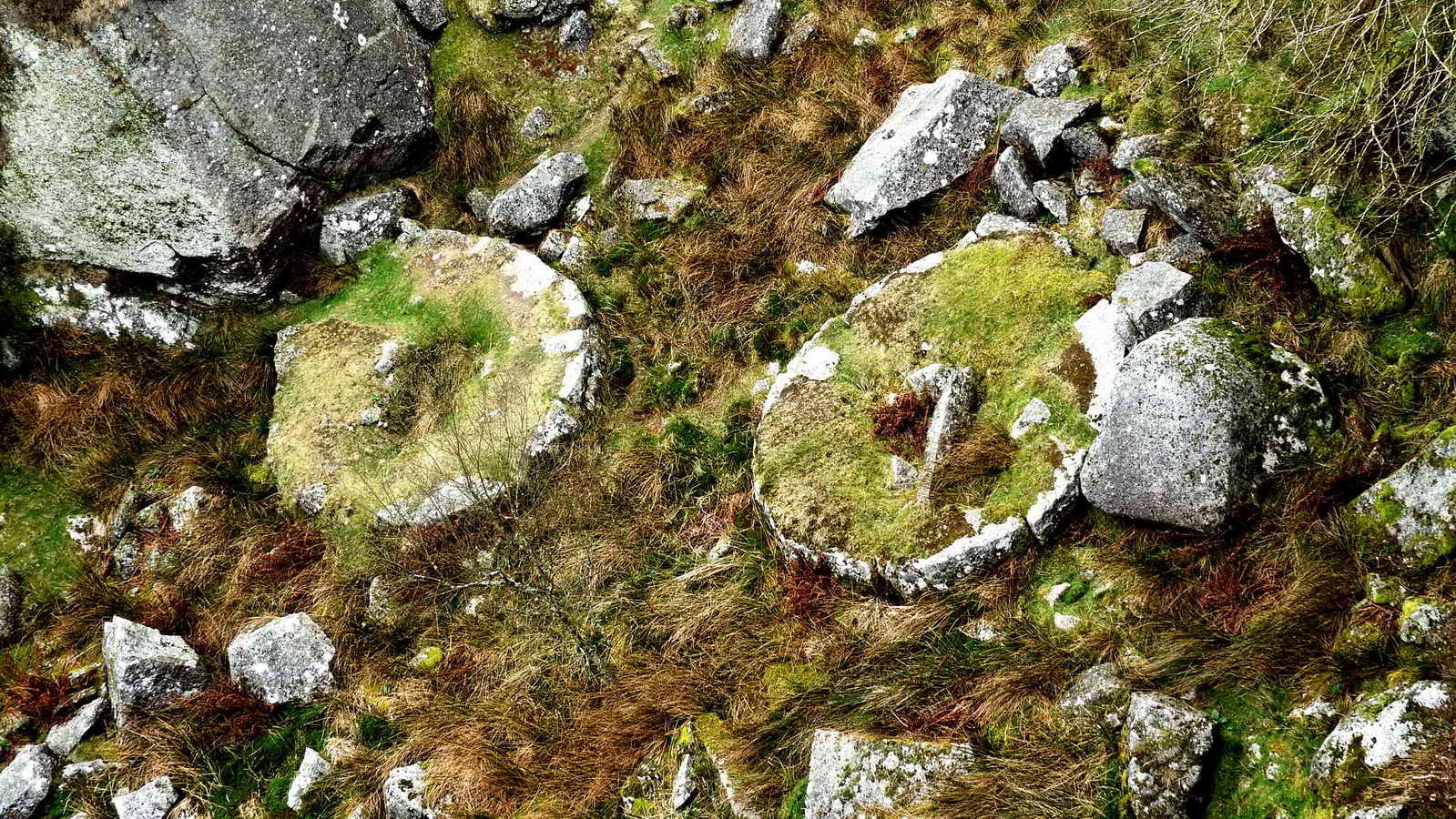 These two circular features were the bases of cranes used to load granite onto carts