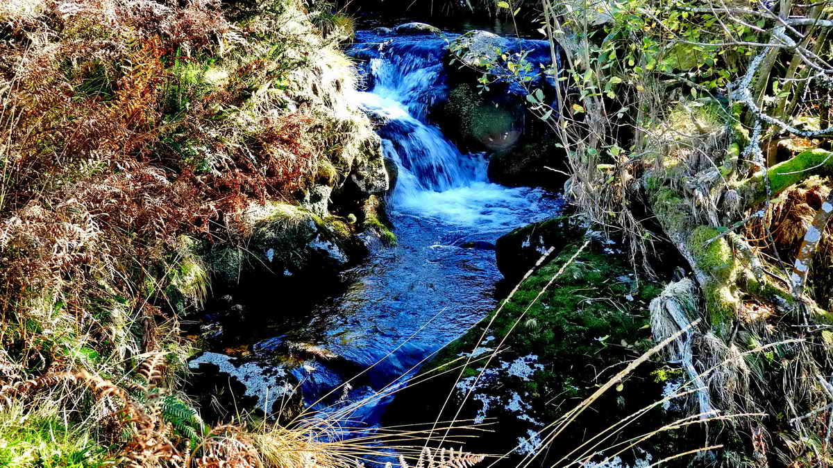 Doe Tor Falls - above and below the bridge, obscured by Furze