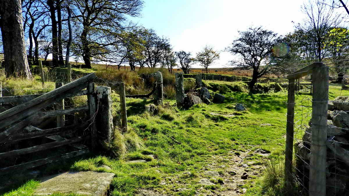 The ruined outhouse