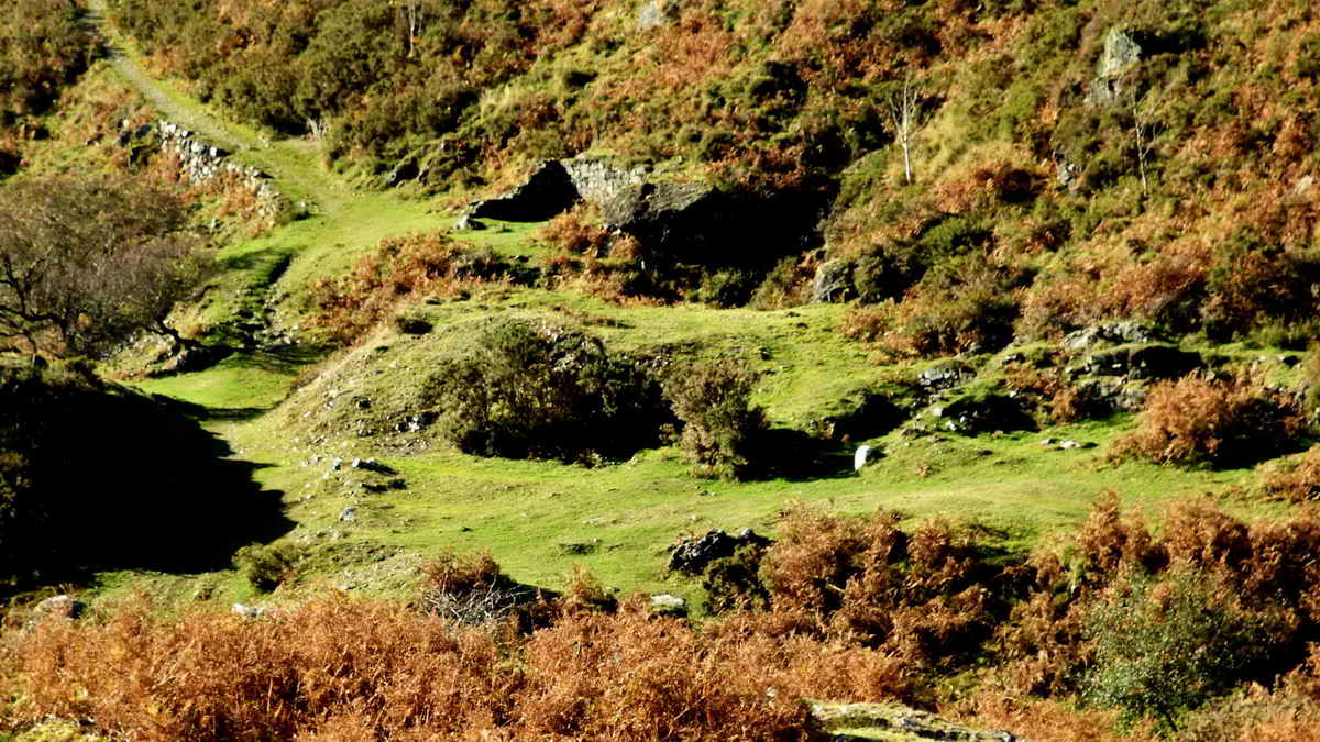 Main working platform and building remains of Wheal Mary Emma