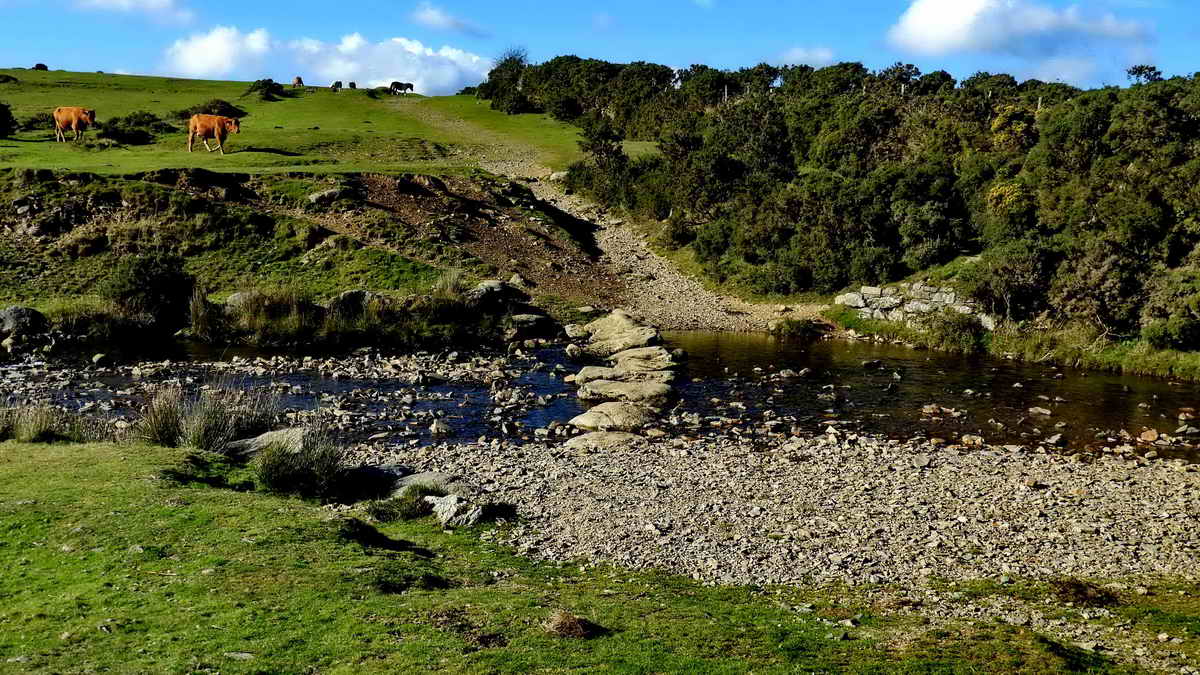 Looking back at the Ford