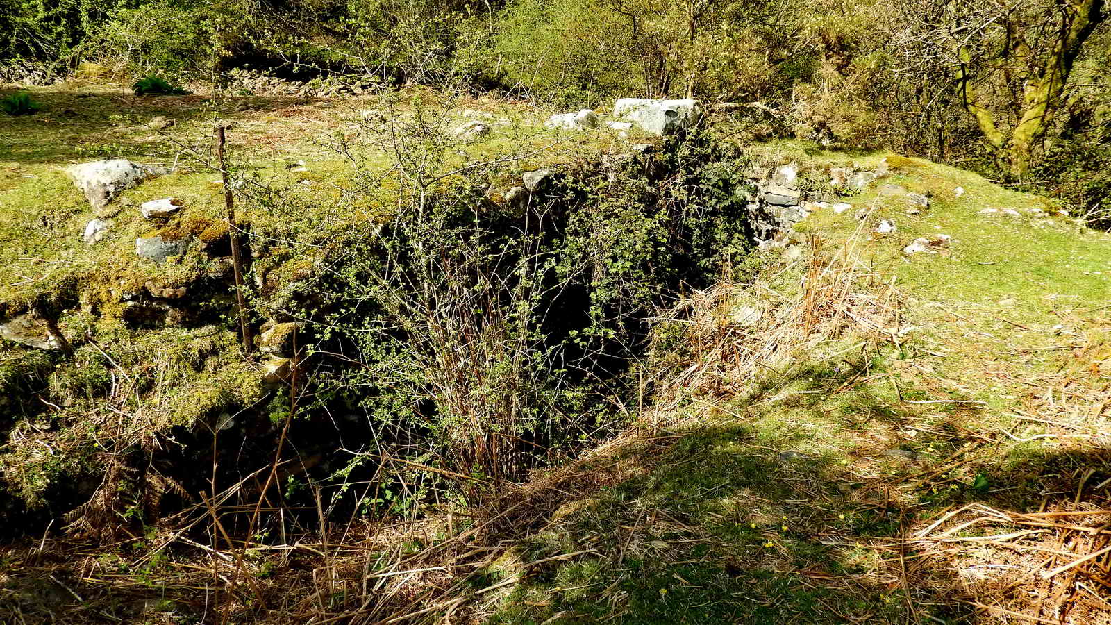 The second and newer wheelpit, about 30 meters upstream. SX 56418 92043