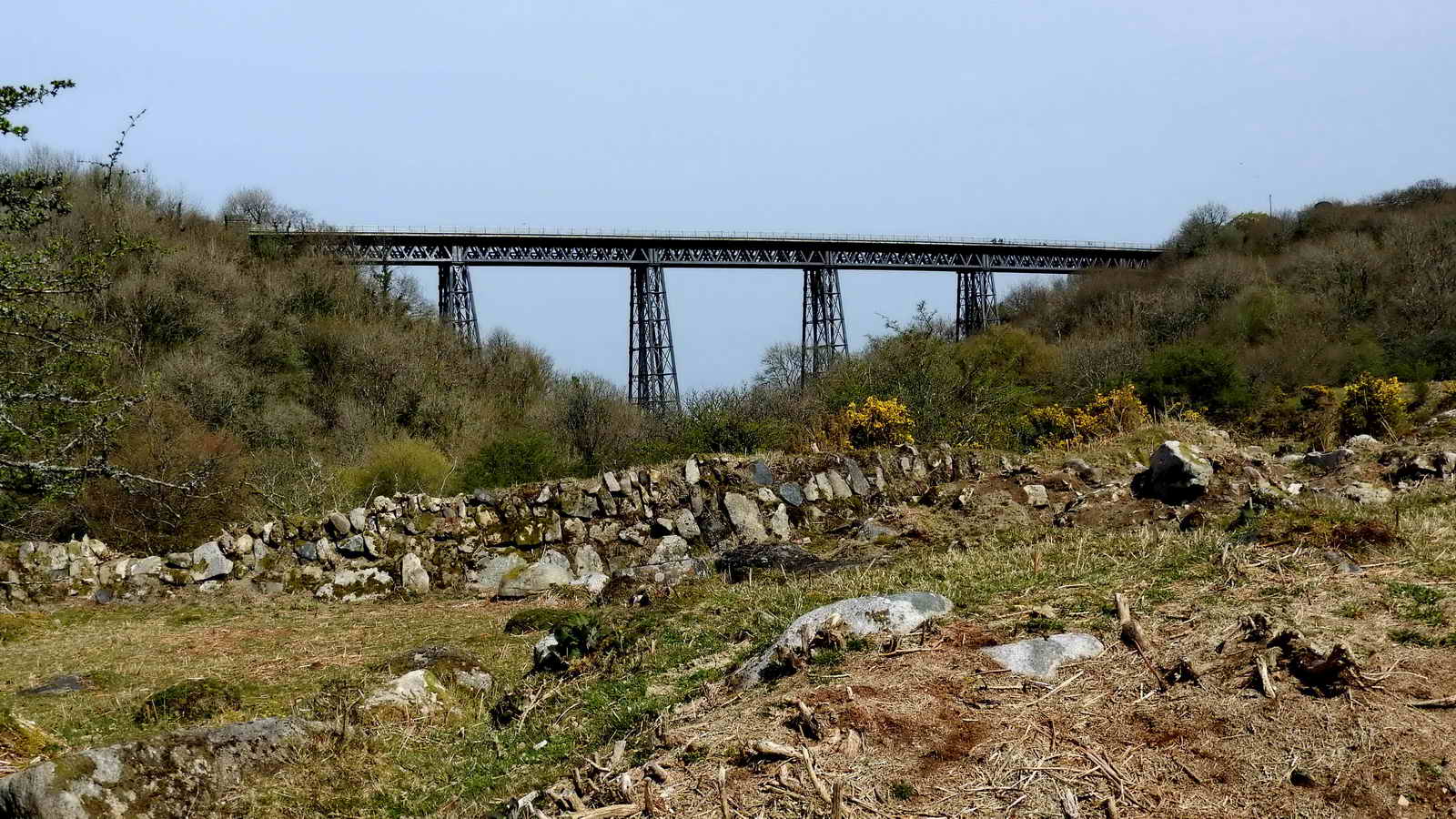 A view of Meldon Viaduct