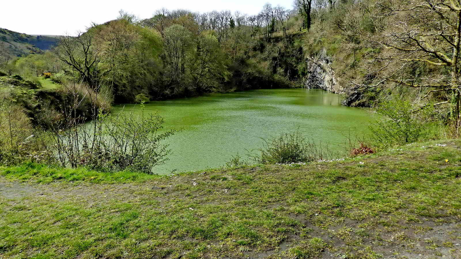 Meldon Pool from the North