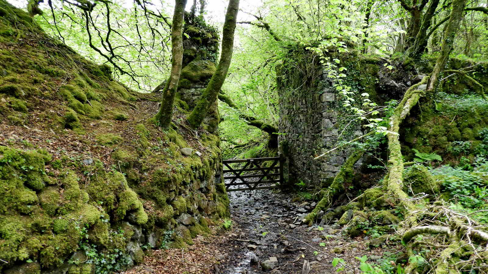 After descending into the wood and reaching level ground, there is a former bridge on the right with a gate between the abutments