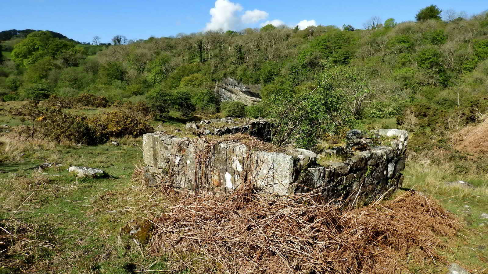 Looking over the store, with the rockface at Meldon Pool in the background